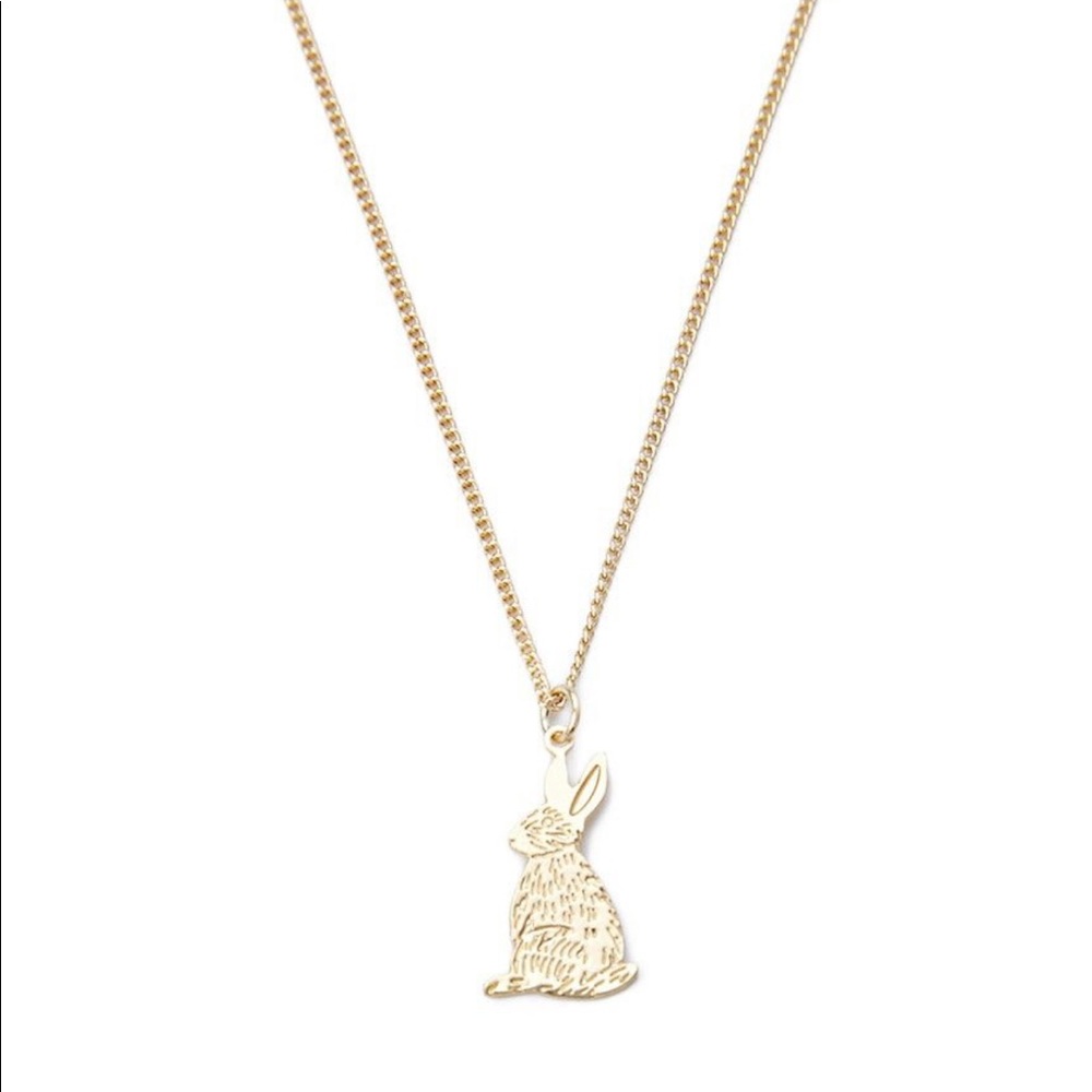 ISO!! Forever 21 bunny charm necklace.
